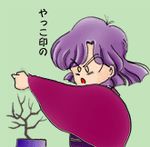  akazukin_chacha bonsai open_eyes purple_hair tree yakko 