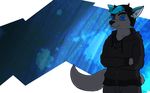  2017 autumn_sins black_hair black_nose blue_background blue_ears blue_eyes blue_hair canine cel_shading clothing crossed_arms fur grey_fur hair jumper leafyii male mammal multicolored_hair pants simple_background smile standing white_background wolf 