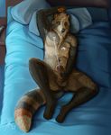  anthro bed cum cumshot ejaculation homogenousrule humanoid_penis jac male mammal masturbation nude orgasm penis pillow raccoon solo 