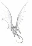  anthro claws dragon horn invalid_tag krigg male monochrome muscular nude sketch solo wings 