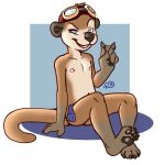  anthro blue_eyes butt claws condom eyewear feet fur goggles grin looking_at_viewer male mammal mustelid navel nipples nude otter pawpads rogerbutsmaller sea_otter smile solo v_sign webbed_hands 