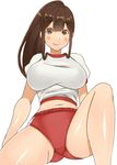  breasts brown_eyes brown_hair buruma gym_uniform impossible_clothes large_breasts long_hair midriff mo-fu navel original ponytail shirt simple_background sitting solo white_background white_shirt 