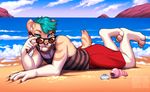  2016 5_fingers anthro beach blue_eyes blue_hair clothed clothing detailed_background feline hair kero_tzuki male mammal pink_nose saber-toothed_cat sand seaside shore smile 
