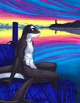  cetacean cloud dock laucen_chevaleir lighthouse male mammal marine orca psychoseby sea solo sunset water water_colors whale 