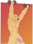  2017 abs animal_genitalia anthro balls biceps canine cum digital_media_(artwork) dog erection exercise fur hair hi_res humanoid_penis lab_(disambiguation) looking_at_viewer male mammal muscular muscular_male nipples nude open_mouth pecs penis simple_background smile solo standing teeth tongue weightlifting weights workout wwas yellow_skin 