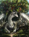  antanariva antlers claws dragon feathered_wings feathers female feral flower fur furred_dragon horn outside plant solo wings 