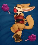  2017 anthro ball_gag bdsm bottomless bound butt canine clothed clothing disney fennec finnick fox gag hicanyoumooforme mammal restrained shirt struggling tank_top zootopia 