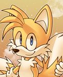  anthro black_nose blue_eyes canine clothing dipstick_tail fox fur gloves hi_res male mammal miles_prower moon multicolored_tail signature smile solo sonic_(series) video_games white_fur yellow_fur zoiby 