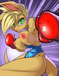  anthro becka boxing boxing_gloves breasts clothed clothing female fur green_eyes hair kangaroo mammal marsupial nipples solo sport thefuckingdevil topless 