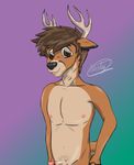  anthro cervine deer deerty deerty_(character) erection mammal penis shy simple_background smile 