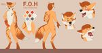  anthro blue_eyes canine digitigrade fox fur fuzzyorangehead male mammal model_sheet orange_fur white_fur yarik 