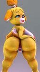  2017 3d_(artwork) animal_crossing anthro bell big_breasts big_butt black_nose blonde_hair blue_eyes breasts butt canine digital_media_(artwork) dog female fur hair hi_res isabelle_(animal_crossing) looking_at_viewer mammal nintendo nipples nude pervertguy341 pussy seductive simple_backgruond solo source_filmmaker teeth tongue tongue_out video_games yellow_fur 