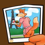  burger butt canine clothed clothing crossdressing eiffel_tower food fox looking_at_viewer male mammal mooning photo presenting presenting_hindquarters s-o-husky_(artist) simple_background spy_fox spy_fox_(series) 
