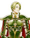  akke armor breastplate cape fire_emblem fire_emblem_echoes:_mou_hitori_no_eiyuuou fire_emblem_gaiden force_(fire_emblem) gloves green_eyes green_hair male_focus pauldrons simple_background smile solo white_background 