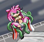  amy_rose sega sonic_team tagme 