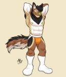 2025 alibi_47 anthro armpit_tuft athletic athletic_male biceps black_body black_fur black_hair brown_body brown_fur bulge canid canine canis cheek_tuft clothing confident confident_expression countershade_tail countershading dated domestic_dog eyebrows facial_tuft footwear fur green_eyes green_nipples green_nose hair hands_behind_head hi_res inner_ear_fluff jockstrap male mammal nipples orange_clothing orange_jockstrap orange_underwear pecs shaded short_hair signature simple_background smile socks solo tail tan_background tan_body tan_fur tuft underwear whisker_spots white_body white_clothing white_eyebrows white_footwear white_fur white_inner_ear_fluff white_socks