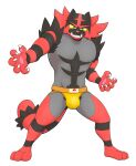absurd_res alpha_channel anthro bulge clothing digital_media_(artwork) domestic_cat felid feline felis full-length_portrait fur generation_7_pokemon hi_res incineroar jockstrap looking_at_viewer male mammal muscular nintendo pokemon pokemon_(species) portrait raccoon_merchant shirtless simple_background solo standing underwear