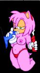  amy_rose knuckles_the_echidna sonic_team sonic_the_hedgehog tagme 