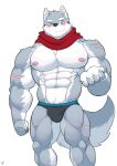 absurd_res anthro blush canid canine canis crave_saga hakuma_(crave_saga) hi_res male mammal muscular muscular_anthro muscular_male shinobiya smile solo standing wolf