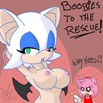  amy_rose rouge_the_bat sega sonic_team tagme 