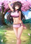  &gt;:) arm_up bangs bare_arms bare_legs bare_shoulders black_hair blush breasts cherry_blossoms chinese_clothes closed_mouth commentary cowboy_shot day groin high_school_dxd highres kazenokaze large_breasts long_hair looking_at_viewer miniskirt navel outdoors petals raynare red_eyes revealing_clothes skirt smile solo stomach v-shaped_eyebrows 