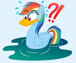  ?! absurd_res alternate_species avian beak bird blue_feathers duck feathered_wings feathers female feral friendship_is_magic hair hi_res multicolored_hair my_little_pony post_transformation rainbow_dash_(mlp) rainbow_hair solo steam-loco water wings 
