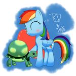  blue_feathers blue_fur blush cutie_mark duo equine feathered_wings feathers female feral friendship_is_magic fur hair horse hoyeechun male mammal multicolored_hair my_little_pony pegasus pony rainbow_dash_(mlp) rainbow_hair reptile scalie tank_(mlp) tortoise turtle wings 
