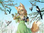  anthro avian bird blonde_hair breasts brown_fur clothed clothing deity detailed_background dress eyebrows eyelashes feeding female feral flower fur green_eyes hair happy long_hair mammal open_mouth outside plant smile solo spring spring_rain_(character) standing tan_fur tree yosin_(artist) 