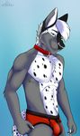  2017 5_fingers abs absurd_res anthro black_fur blue_background briefs bulge canine cinta clothing collar fist fur green_eyes grey_fur grey_hair hair hi_res looking_at_viewer male mammal multicolored_fur multicolored_hair muscular pose ratchet_wolfe simple_background smile solo spots standing tight_underwear underwear white_fur white_hair wolf 