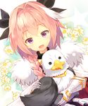  androgynous astolfo_(fate) bird black_bow bow braid fangs fate/apocrypha fate_(series) hair_ribbon long_hair male_focus multicolored_hair open_mouth otoko_no_ko pink_hair purple_eyes ribbon single_braid smile solo streaked_hair tougetsu_hajime 