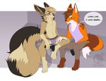  4_toes 5_fingers anthro barefoot brown_hair bulge canine charmrage clothed clothing digitigrade duo fluffy fluffy_tail fox fur hair male mammal orange_fur purple_eyes toes topless 