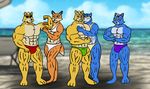  abs age_difference beach blue_eyes blue_fur brown_fur canine clothing eyewear family father female flexing fox fox_mccloud fur grandfather grandmother green_eyes group_picture hug james_mccloud krystal kusaganiartist male mammal marcus_mccloud mature_male mother multicolored_fur multicolored_tail muscular nintendo orange_fur parent pose seaside speedo star_fox sunglasses swimsuit teenager two_tone_fur video_games vixy_reinard white_fur yellow_fur young 