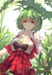  bangs black_bra bra breasts checkered checkered_skirt chiroru_(cheese-roll) cleavage closed_mouth collarbone collared_shirt commentary dappled_sunlight day eyebrows_visible_through_hair green_hair highres kazami_yuuka large_breasts leaf looking_at_viewer open_clothes open_shirt outdoors red_eyes red_skirt revision shirt short_hair skirt solo sunlight touhou unbuttoned unbuttoned_shirt underwear vest white_shirt 