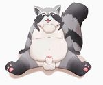  3_toes al-cat animal_genitalia animated anthro balls black_fur blinking blush breathing chest_tuft fur grey_fur male mammal navel overweight pawpads raccoon sheath simple_background sitting solo toes tongue tongue_out tuft twitching_penis white_fur 