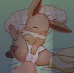  ambiguous_gender blush clothed clothing diaper eevee feral first_person_view mei_(artist) nintendo partially_clothed pok&eacute;mon sleeping video_games 