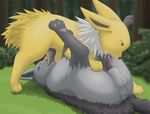  jolteon koba mightyena nintendo pokemon 