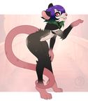  4_toes anthro charmrage collar facial_piercing fur grey_fur hair mammal marsupial nose_piercing nose_ring opossum piercing pink_eyes purple_hair simple_background smile solo toes 