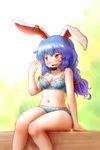  animal_ears arinu bangs bare_arms bare_legs blue_hair blush bra breasts bunny_ears cleavage commentary_request ear_clip eyebrows_visible_through_hair highres lace lace-trimmed_bra lace-trimmed_panties long_hair medium_breasts navel panties plump red_eyes seiran_(touhou) sitting solo strap_slip sweat touhou underwear underwear_only 