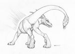  2017 anus butt claws digitigrade dragon ecmajor female feral horn looking_at_viewer looking_back monochrome presenting presenting_hindquarters pussy rear_view reptile scalie seductive simple_background smile solo spiked_tail white_background 