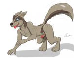  2016 al_(alex.fetter) alex.fetter anthro balls big_balls digitigrade erection humanoid_penis linoone male nintendo nipples nude penis pok&eacute;mon raised_tail tongue video_games 