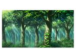  bush dappled_sunlight day forest green hariken leaf nature no_humans original outdoors plant scenery sunlight tree_shade vines white_border 