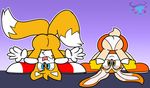  bent_over butt canine clothing cream_the_rabbit fox lagomorph mammal miles_prower mintytempest mooning panties rabbit rear_view sonic_(series) tongue tongue_out underwear 