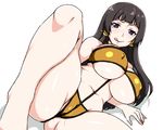  1girl black_hair breasts dead_or_alive dead_or_alive_5 huge_breasts naughty_face nyotengu pixiv_manga_sample smile solo 