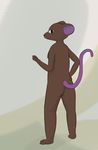  breasts female kaiberu looking_at_viewer looking_back mammal mouse nude rodent simple_background standing 