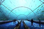  aquarium aquarium_tunnel arch bench extra fish hallway hitode_(14549) original people silhouette tunnel underwater vanishing_point 