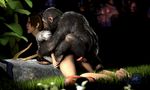  3d_(artwork) ape bestiality chimpanzee digital_media_(artwork) far_cry female feral gob_bluth_sfm human lisa_snow male male/female mammal penis primate pussy source_filmmaker vaginal 