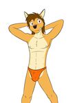  canine clothing coyote fangs fuze male mammal pose thong underwear 