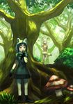  animal_ears bad_id bad_pixiv_id black_dress black_hair black_ribbon blonde_hair boots brown_eyes commentary_request common_raccoon_(kemono_friends) dress fennec_(kemono_friends) forest giant_mushroom grass grey_hair hand_on_hip hand_to_own_mouth kemono_friends looking_afar multicolored_hair multiple_girls nature orange_dress raccoon_ears raccoon_tail ribbon short_hair skirt tail tree wasabi60 yellow_skirt 
