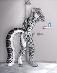  2015 anthro balls bathroom butt chest_tuft claws digital_media_(artwork) feline fur hair izamal leopard long_hair male mammal nude pose shower smile snow_leopard soap solo spots tuft water zwolf 