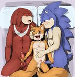  age_difference anthro balls battle_angel canine cub echidna fox group group_sex handjob hedgehog humanoid_penis knuckles_the_echidna male male/male mammal miles_prower monotreme penis sex sonic_(series) sonic_the_hedgehog threesome young 